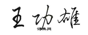 駱恆光王功雄行書個性簽名怎么寫