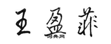 駱恆光王盈菲行書個性簽名怎么寫