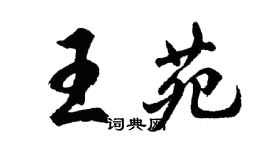 胡問遂王苑行書個性簽名怎么寫