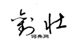 梁錦英劉壯草書個性簽名怎么寫