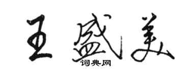 駱恆光王盛美行書個性簽名怎么寫