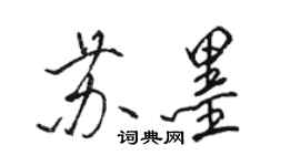 駱恆光蘇墨行書個性簽名怎么寫