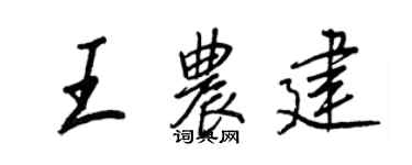 王正良王農建行書個性簽名怎么寫