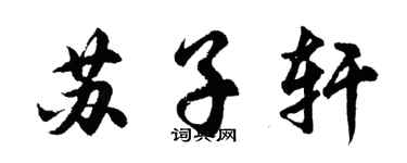 胡問遂蘇子軒行書個性簽名怎么寫
