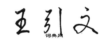 駱恆光王引文行書個性簽名怎么寫