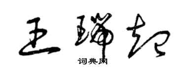 曾慶福王瑞起草書個性簽名怎么寫