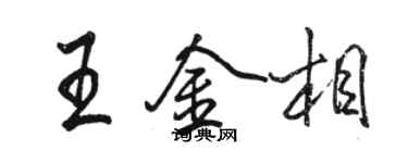 駱恆光王金相行書個性簽名怎么寫