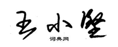 朱錫榮王小堅草書個性簽名怎么寫