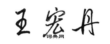 駱恆光王宏丹行書個性簽名怎么寫