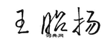 駱恆光王昭揚草書個性簽名怎么寫