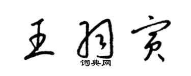 梁錦英王羽寅草書個性簽名怎么寫