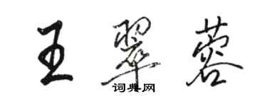 駱恆光王翠蓉行書個性簽名怎么寫