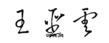 駱恆光王聖雲草書個性簽名怎么寫