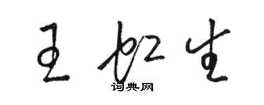 駱恆光王虹生草書個性簽名怎么寫