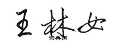 駱恆光王林女行書個性簽名怎么寫