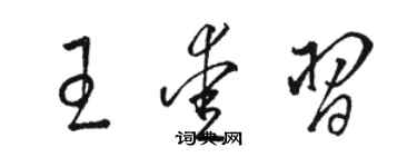 駱恆光王愛習草書個性簽名怎么寫