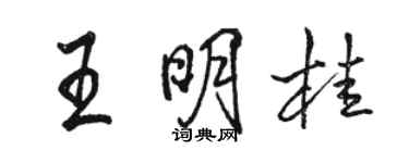 駱恆光王明桂行書個性簽名怎么寫