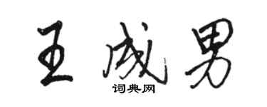 駱恆光王成男行書個性簽名怎么寫