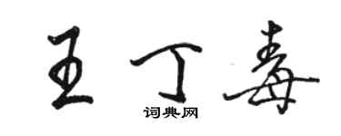 駱恆光王丁毒行書個性簽名怎么寫