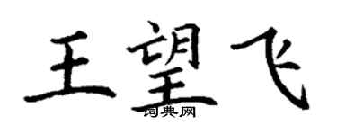 丁謙王望飛楷書個性簽名怎么寫