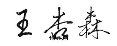 駱恆光王杏森行書個性簽名怎么寫