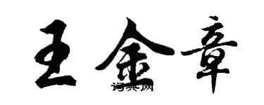 胡問遂王金章行書個性簽名怎么寫