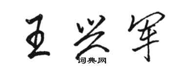 駱恆光王興軍行書個性簽名怎么寫