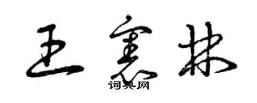 曾慶福王憲林草書個性簽名怎么寫