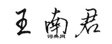 駱恆光王南君行書個性簽名怎么寫