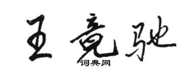 駱恆光王竟馳行書個性簽名怎么寫
