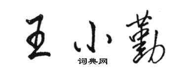 駱恆光王小勤行書個性簽名怎么寫