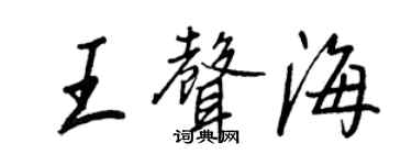 王正良王聲海行書個性簽名怎么寫