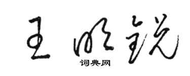 駱恆光王明銳草書個性簽名怎么寫