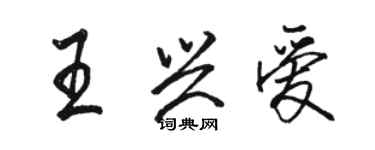 駱恆光王興愛行書個性簽名怎么寫