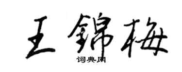 王正良王錦梅行書個性簽名怎么寫