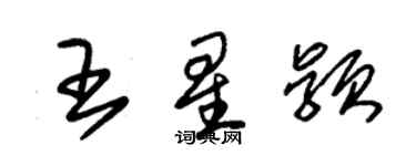 朱錫榮王星穎草書個性簽名怎么寫