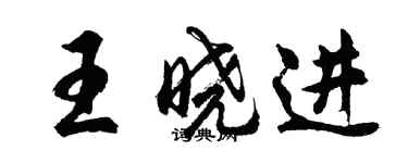 胡問遂王曉進行書個性簽名怎么寫