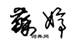 朱錫榮蘇婷草書個性簽名怎么寫