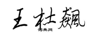 王正良王杜飆行書個性簽名怎么寫