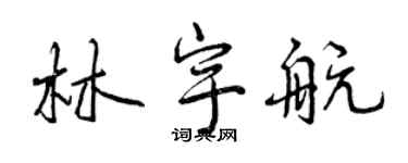 曾慶福林宇航行書個性簽名怎么寫