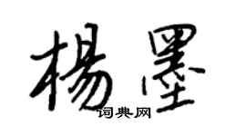 王正良楊墨行書個性簽名怎么寫