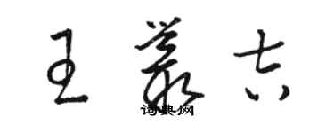 駱恆光王叢吉草書個性簽名怎么寫