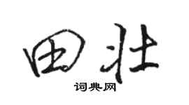 駱恆光田壯行書個性簽名怎么寫