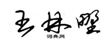 朱錫榮王林野草書個性簽名怎么寫