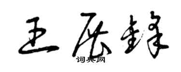 曾慶福王展鋒草書個性簽名怎么寫