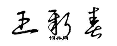 曾慶福王新春草書個性簽名怎么寫