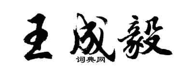 胡問遂王成毅行書個性簽名怎么寫