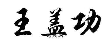 胡問遂王蓋功行書個性簽名怎么寫