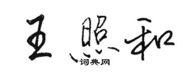 駱恆光王照和行書個性簽名怎么寫