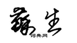 朱錫榮蘇生草書個性簽名怎么寫